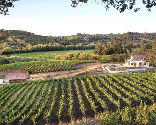 A mid-aerial view from the right side of the Kistler Winery and Vineyards, with rolling tree-covered hills along the horizon.