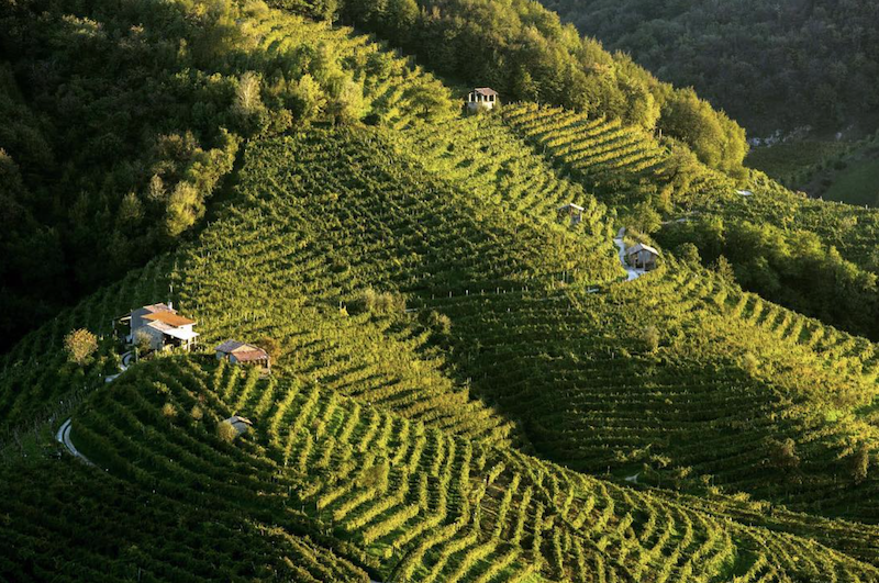 A bird's eye view of the Conegliano Valdobbiadene terroir and vineyards of rolling hills in Veneto, Italy.