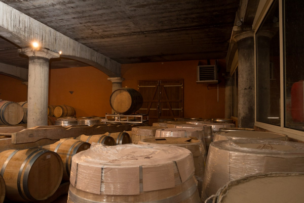The darkened cellars of Chateau Haut Grelot, with wine barrels perched on their side in a line, while others stand upright and wrapped in plastic.